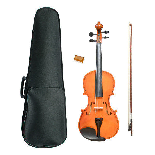 vault violins vault vi1020 4/4 beginner's violin with hard case, rosin and bow