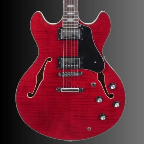 Semi-Hollow Body Guitars