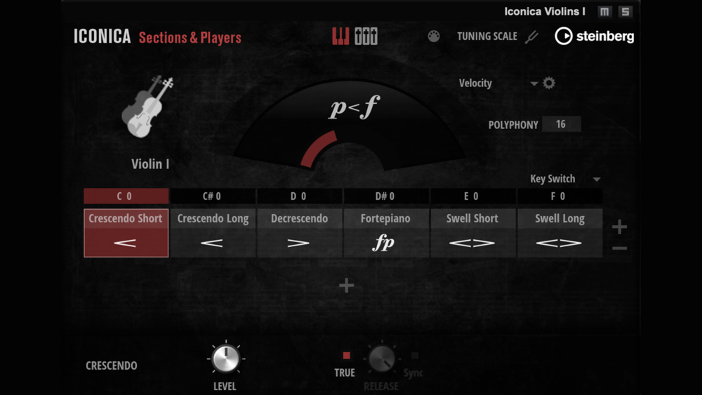 VST Instruments Iconica Sections & Players