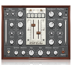PSP Echo Delay
