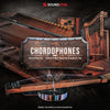 Soundiron Hopkin Instrumentarium: Chordophones