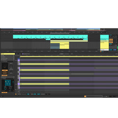 Ableton Live 12 Suite Software (Download Only)