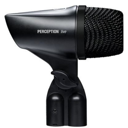 AKG P2 Dynamic Instrument Microphone