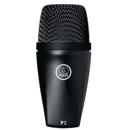 AKG P2 Dynamic Instrument Microphone