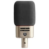 Austrian Audio OC818 Large-Diaphragm Condenser Studio Microphone