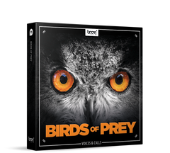Boom Birds of Prey Sound Effects Library