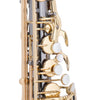 Chateau CAS-50BL Alto Saxophone