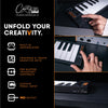Blackstar Carry-on Folding Controller 49 Midi Controller