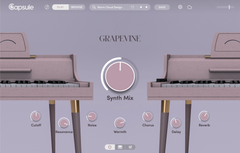 Capsule Grapevine: Vintage Guitar