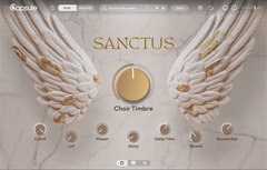 Capsule Sanctus: Choir Instrument