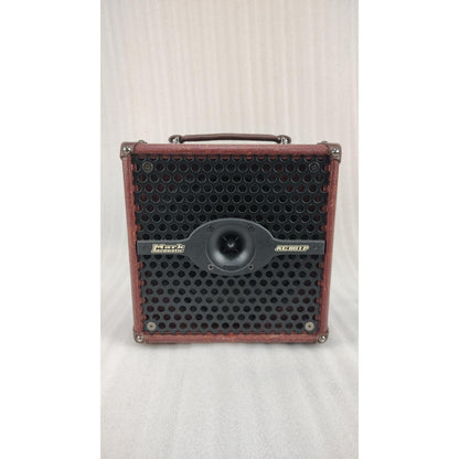 DV Mark 801P Acoustic Guitar Amplifier - Open Box