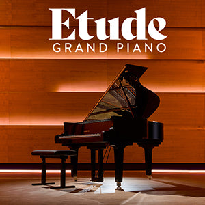 VST Instruments Etude