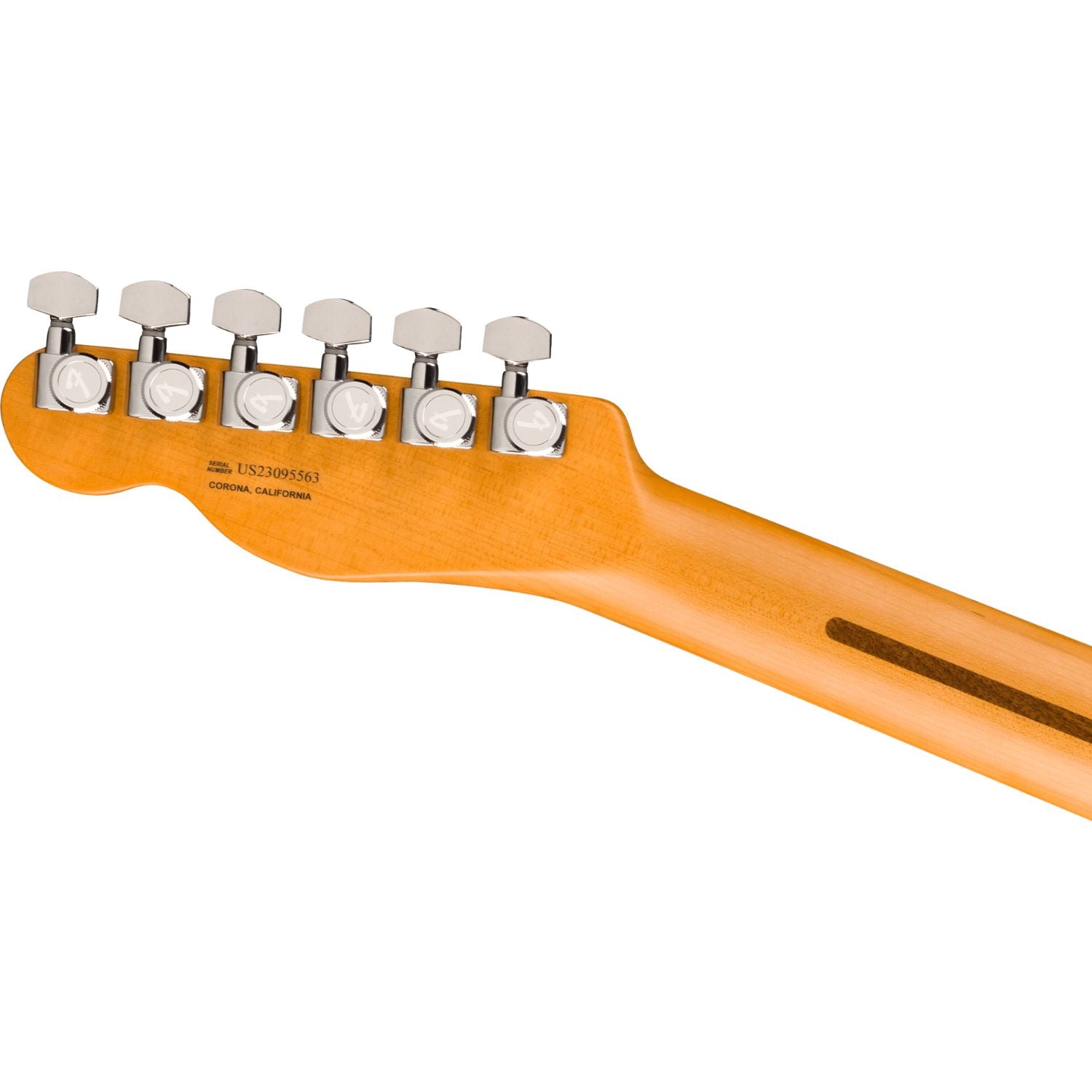 #color_texas-tea,fingerboard_ebony