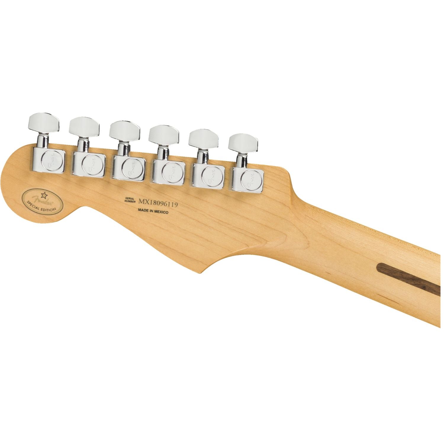 #color_inca-silver,fingerboard_maple
