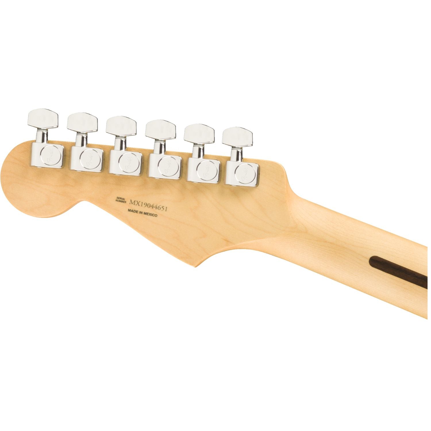 #color_capri-orange,fingerboard_maple