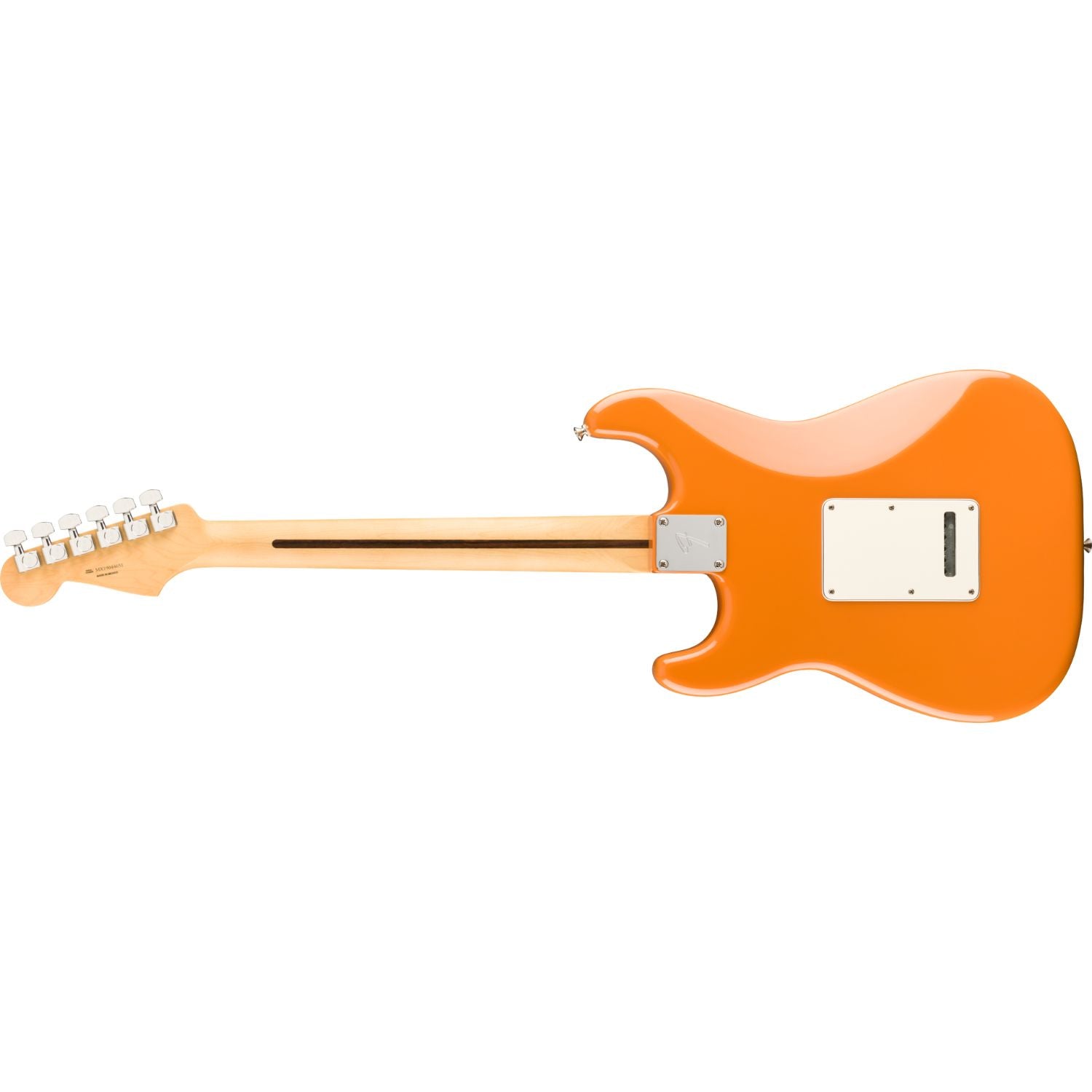 #color_capri-orange,fingerboard_maple