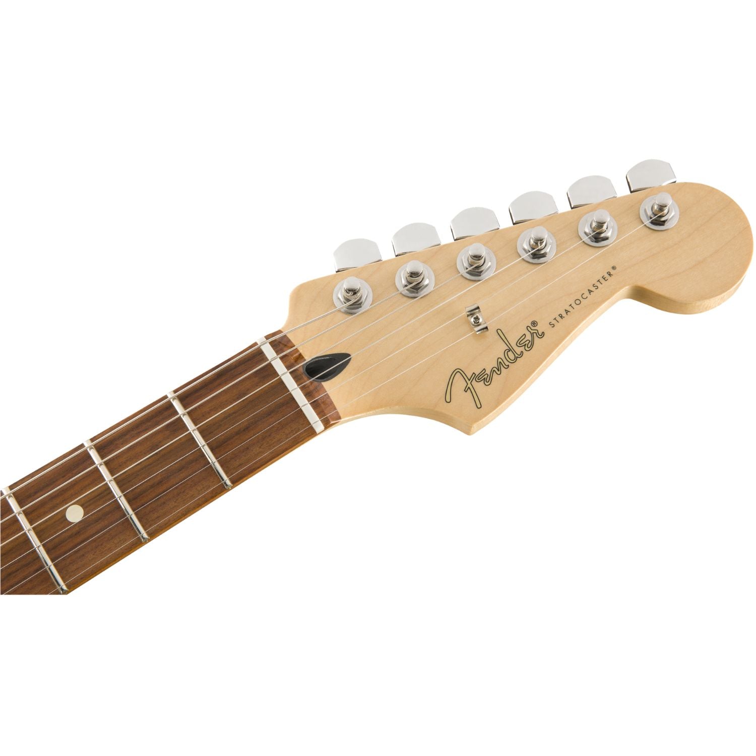 #color_sage-green-metallic,fingerboard_pau-ferro