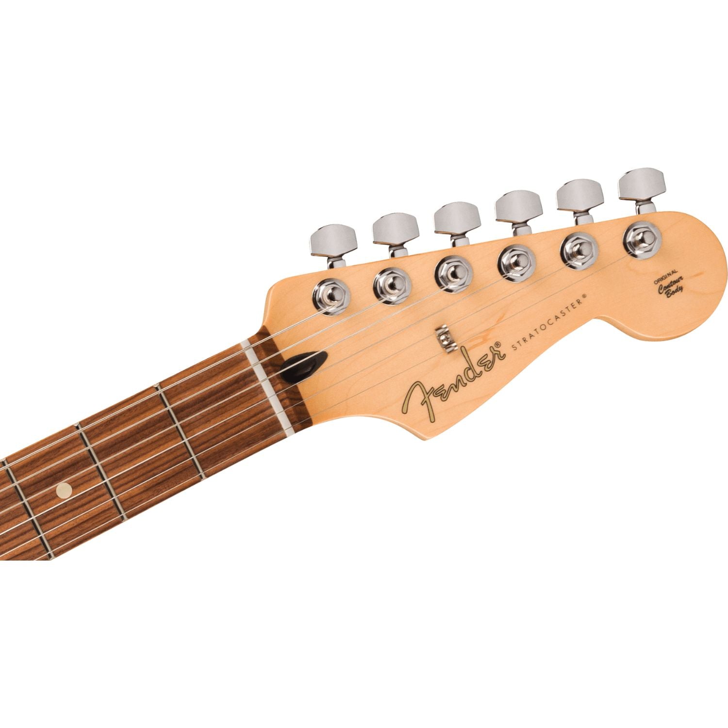 #color_sea-foam-green,fingerboard_pau-ferro