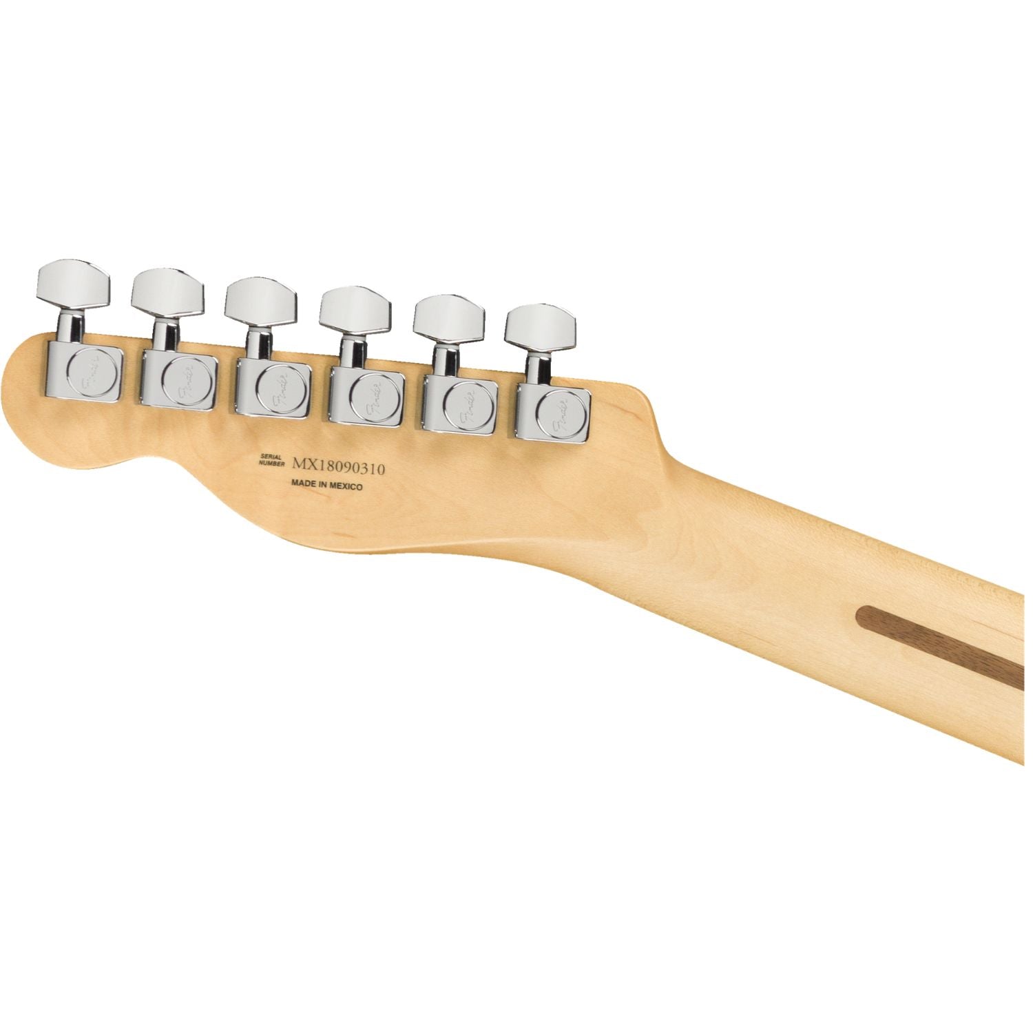 #color_butterscotch-blonde,fretboard_maple