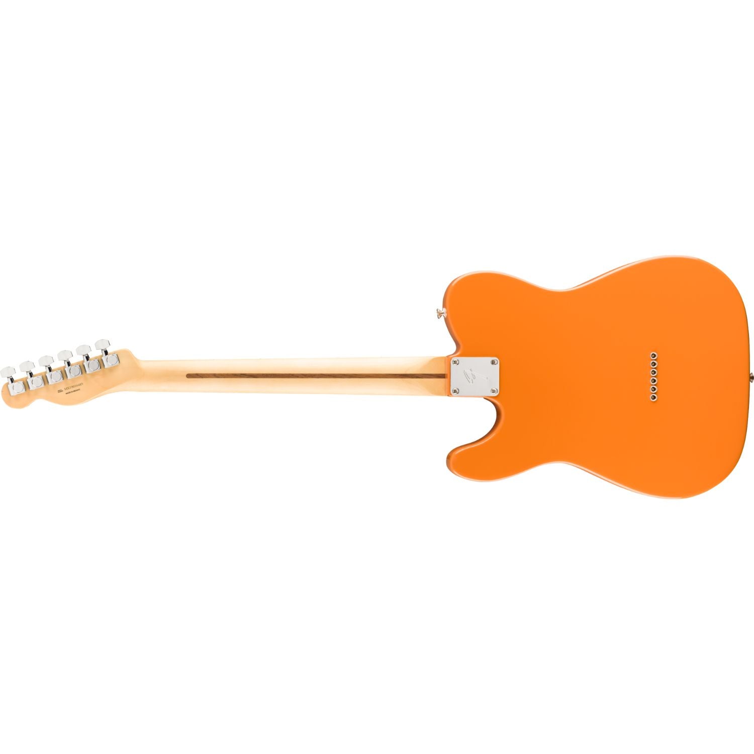 #color_capri-orange,fretboard_maple