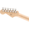 #color_2-tone-sunburst,style_single