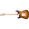 #color_2-tone-sunburst,style_single