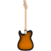 #color_2-tone-sunburst,style_bundle