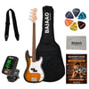 #color_2-tone-sunburst,style_bundle
