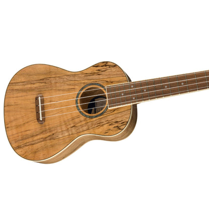 Fender Zuma Exotic Concert Ukulele