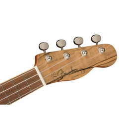 Fender Zuma Exotic Concert Ukulele