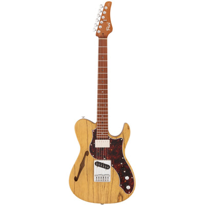 FGN EILT-ASH-HS-RM Iliad Expert 6 String Electric Guitar