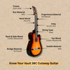 #model_standard,color_sunburst,orientation_right-handed