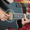 #type_acoustic,color_black