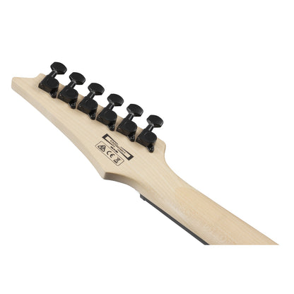 Ibanez GRG120QASP RG Gio Series 6 String Electric Guitar