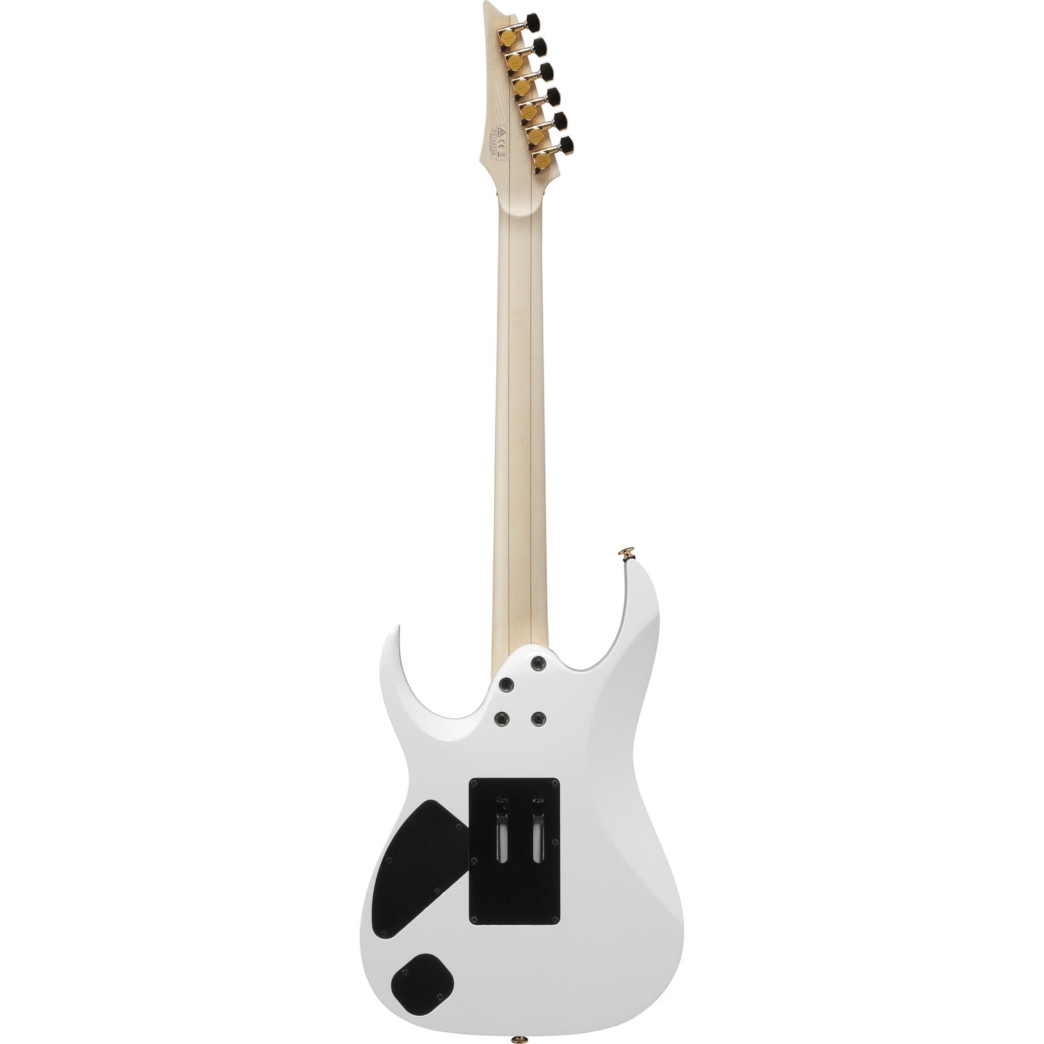 Ibanez RGA622XH 6 String Electric Guitar with Case
