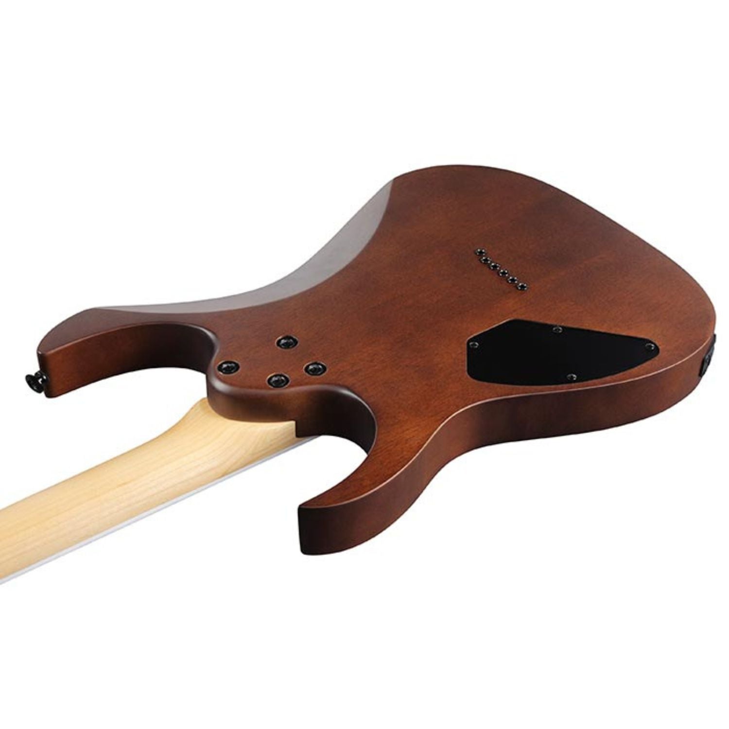 Buy Ibanez GRG121DX RG Gio Series Electric Guitar Online in India