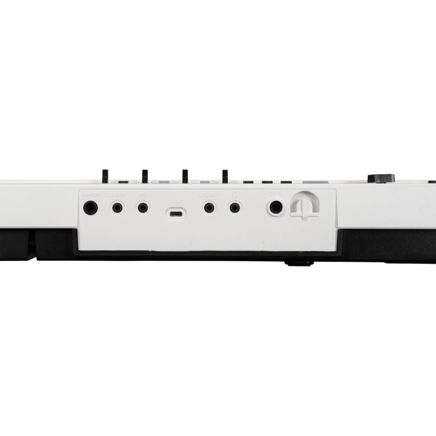 Korg Liano L1 Live 88-Key Digital Piano