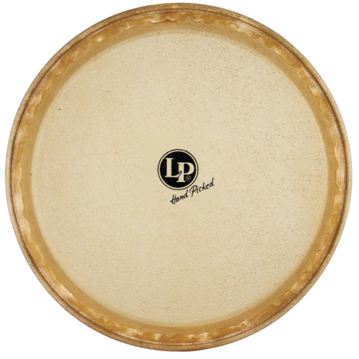 Latin Percussion Matador LP265A 11-inch Rawhide Conga Head