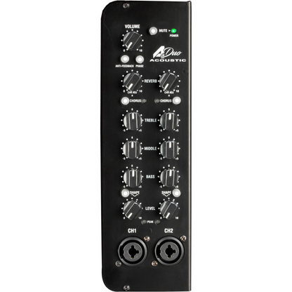 Laney A-DUO Acoustic Combo Guitar Amplifiers