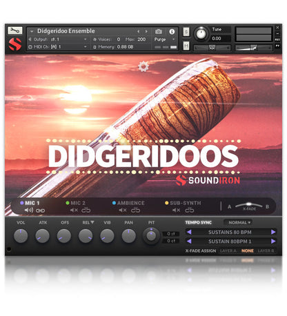 Didgeridoos
