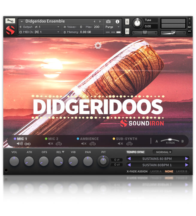 Didgeridoos