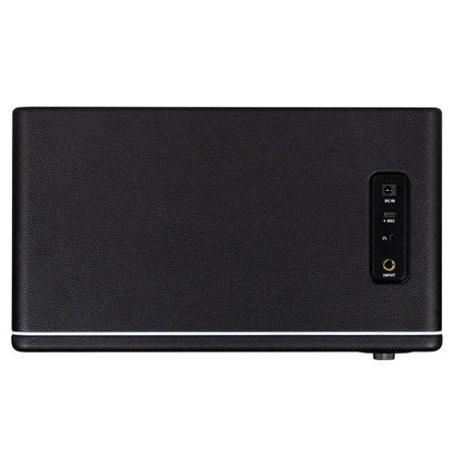 Mooer Hornet 30i Intelligent Amplifier