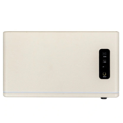 Mooer Hornet 30i Intelligent Amplifier