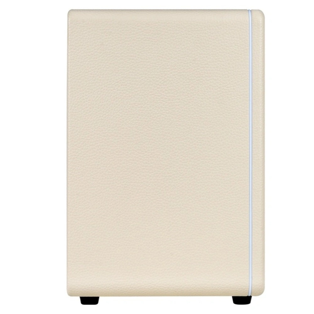 Mooer Hornet 30i Intelligent Amplifier
