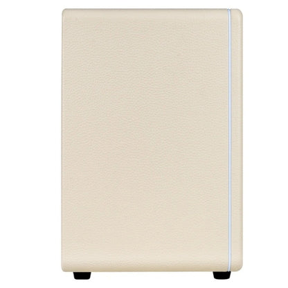 Mooer Hornet 30i Intelligent Amplifier