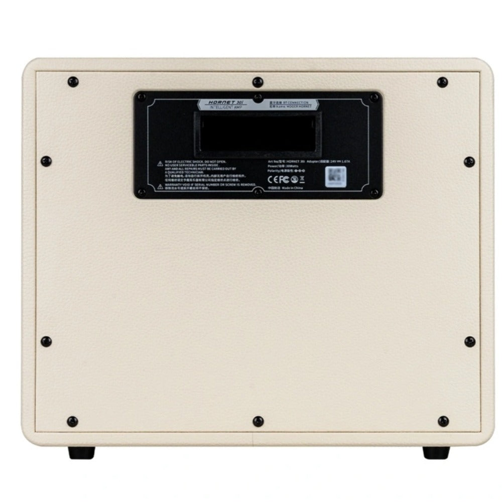 Mooer Hornet 30i Intelligent Amplifier