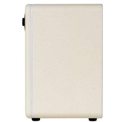 Mooer Hornet 15i Intelligent Amplifier