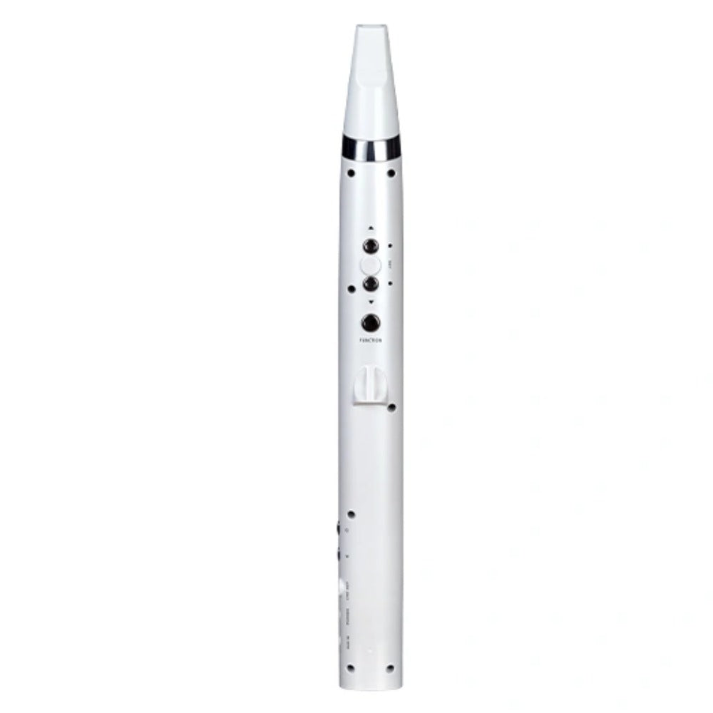 Mooer Wi-100 Wind Instrument