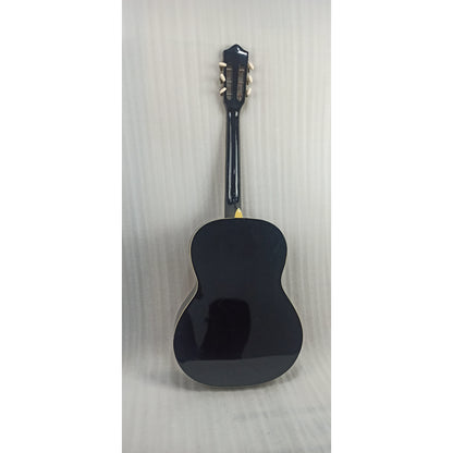 Pluto HW39-201P Electro Acoustic Guitar - Open Box B Stock