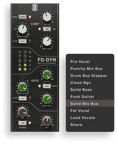 Slate FG-Dynamics: Dynamic Processor
